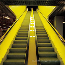 600mm 0.5m / S Escalator extérieur résidentiel bon marché électrique